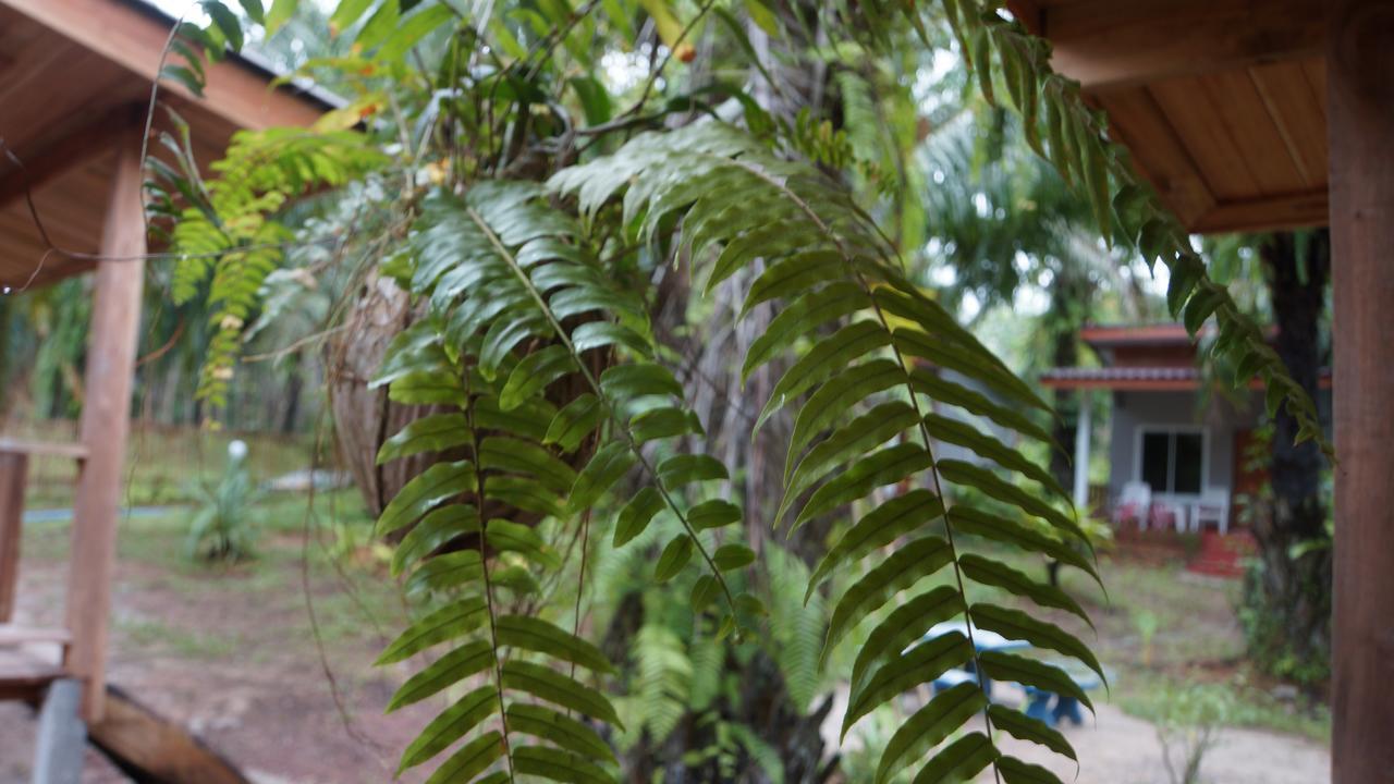Hotel Mada Lanta Mai Keaw à Ko Lanta Extérieur photo